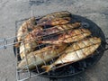 A group of fish grilled at the same time Royalty Free Stock Photo