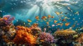 Group of Fish Swimming Above Colorful Coral Reef Royalty Free Stock Photo