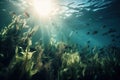 a group of fish swimming in the ocean near the shore of a grassy area with sunlight shining through the water\'s sur Royalty Free Stock Photo