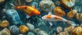 Group of Fish Swimming in Shimmering Pool