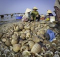 Fisher women in vietnam