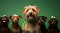 A group of five dogs with their heads bowed and looking at the camera, AI Royalty Free Stock Photo