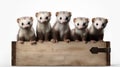 Group Of Five Ferrets Carrying Wooden Box - Detailed Ferret Sculpture