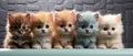 Group of five little kittens
