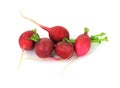 Group of Five Radishes