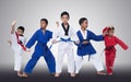 Group of Five 5 Red Blue II Belt Kids TaeKwonDo