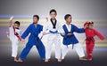 Group of Five 5 Red Blue II Belt Kids TaeKwonDo