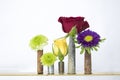 Group of Five Rusted Bullet Casings Holding Flowers on White Background Royalty Free Stock Photo