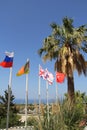 GROUP OF FLAG POLES AND PALM TREE