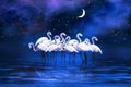 Group of flamingos stands in a lake in the moonlight