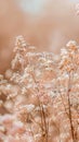 Group of Flowers Growing in Grass Royalty Free Stock Photo