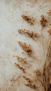 Group of Flowers Growing in Grass Royalty Free Stock Photo