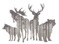 A group of forest animals with a pine forest inside