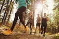 Group of four adults running in a forest, low angle close up