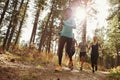 Group of four adults running in a forest, low angle view