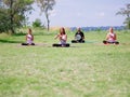 A group of four holds yoga classes in the park. Healthy lifestyle. Royalty Free Stock Photo