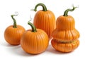 a group of four pumpkins in various shapes and sizes, three are small and one is large and shaped like two pumpkins stacked Royalty Free Stock Photo