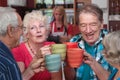 Group of Four Seniors Celebrating Royalty Free Stock Photo