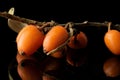 Sea buckthorn berry isolated on black glass