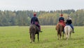 Group of fox hunters on the horses in the autumn field. Reconsruction of traditional horse hunting