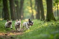 Group of French bulldogs in nature - generated by ai Royalty Free Stock Photo