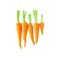 Group of fresh baby carrot isolated white background Royalty Free Stock Photo