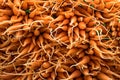 Group of fresh baby carrots I Royalty Free Stock Photo