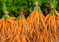 Group of fresh baby carrots I Royalty Free Stock Photo