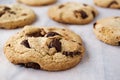 Macro picture of chocolate cookies on baking paper Royalty Free Stock Photo