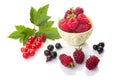 A group of fresh berries. Red and black currants with green leaves, raspberries in a bowl and loganberry isolated on white