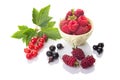 A group of fresh berries. Red and black currants with green leaves, raspberries in a bowl and loganberry isolated on white