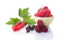 A group of fresh berries. Red and black currants with green leaves, raspberries in a bowl and  loganberry isolated on white Royalty Free Stock Photo