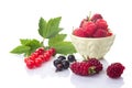 A group of fresh berries. Red and black currants with green leaves, raspberries in a bowl and loganberry isolated on white