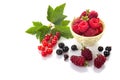 A group of fresh berries. Red and black currants with green leaves, raspberries in a bowl and loganberry isolated on white