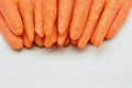 Group of fresh carrots Royalty Free Stock Photo