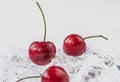 Group of fresh cherry in stuido shot Royalty Free Stock Photo
