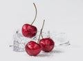 Group of fresh cherry in stuido shot Royalty Free Stock Photo