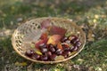 Group of fresh chestnuts on shallow wicker basket with dry colorful autumn leaves in green grass, nuts one by one on basket Royalty Free Stock Photo