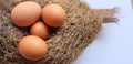 Group Fresh chicken eggs on a nest made of grass straw. Royalty Free Stock Photo