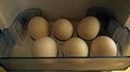 Group of fresh Chicken eggs in a refrigerator tray Royalty Free Stock Photo