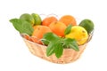A group of fresh citrus fruits in basket, isolated white background.