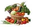 group of fresh different vegetables in a basket Royalty Free Stock Photo