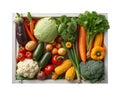Group fresh different vegetables in a wooden box Royalty Free Stock Photo