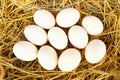 Group of fresh duck eggs