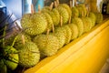 Group of fresh durians in the durian market. King of fruits