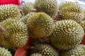 durians in the market at Thailand. King of fruit tropical durian in marketplace taste of a durian fruit buffet Royalty Free Stock Photo