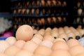 Group of fresh eggs on egg black panel package from a chicken farm in the package retained to sell for cooking at the market.