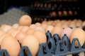 Group of fresh eggs on egg black panel package from a chicken farm in the package retained to sell for cooking at the market.