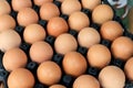 Group of fresh eggs on egg black panel package from a chicken farm in the package retained to sell for cooking at the market.