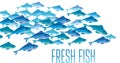 Group of fresh fish vector illustration for header,